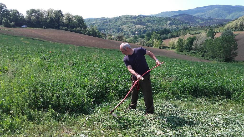 Agriturismo Stazione Di Monta Villa Vicchio Buitenkant foto