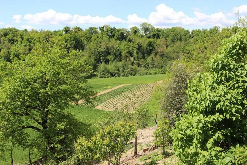 Agriturismo Stazione Di Monta Villa Vicchio Buitenkant foto